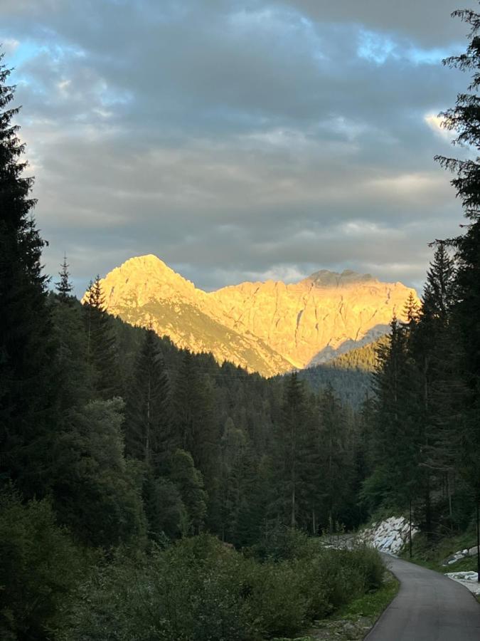 Palazzo Cervesato: Camera Regina Margherita Santo Stefano Di Cadore Dış mekan fotoğraf