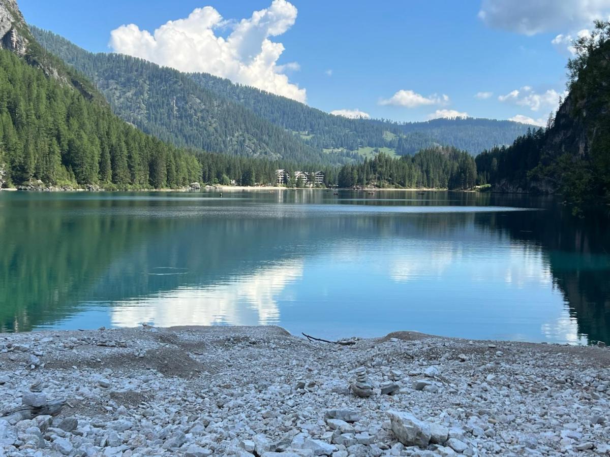 Palazzo Cervesato: Camera Regina Margherita Santo Stefano Di Cadore Dış mekan fotoğraf